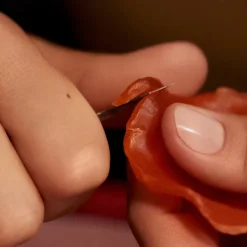 Magnolia Infinita Gioiello | <Acqua di Parma Outlet