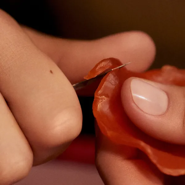 Magnolia Infinita Gioiello | <Acqua di Parma Outlet